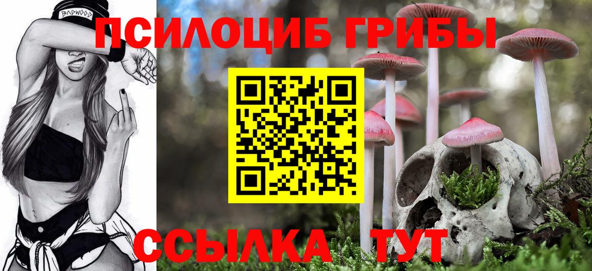 Псилоцибиновые грибы ЛСД  Вход с VPN  как найти закладки  Елец 